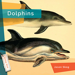 Cover Art for Dolphins