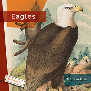 Cover Art for Eagles