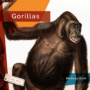 Cover Art for Gorillas
