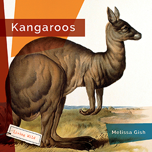 Cover Art for Kangaroos