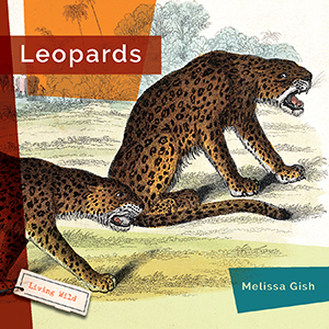 Cover Art for Leopards
