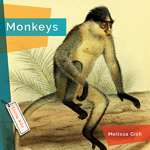 Cover Art for Monkeys