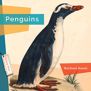 Cover Art for Penguins