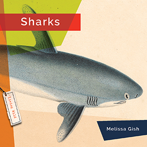 Cover Art for Sharks
