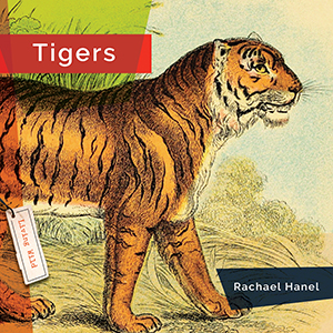 Cover Art for Tigers