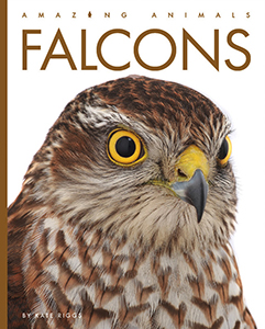Cover Art for Falcons