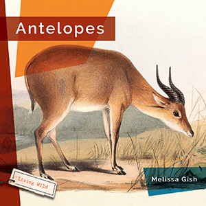 Cover Art for Antelopes