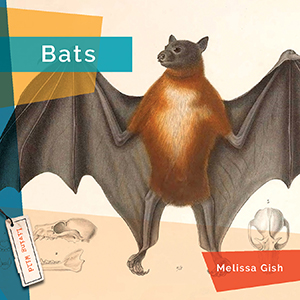 Cover Art for Bats