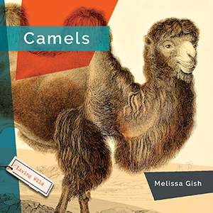 Cover Art for Camels