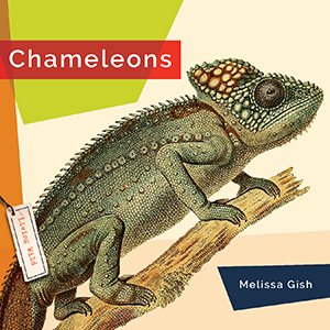 Cover Art for Chameleons