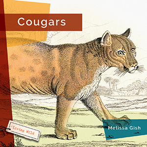 Cover Art for Cougars