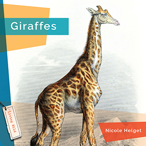 Cover Art for Giraffes