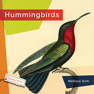 Cover Art for Hummingbirds