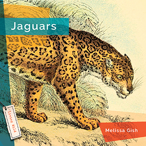 Cover Art for Jaguars
