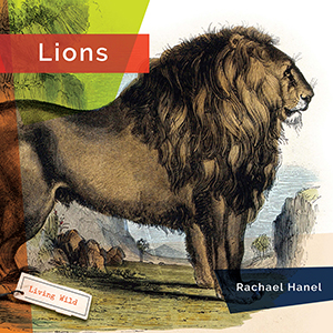Cover Art for Lions