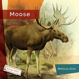Cover Art for Moose