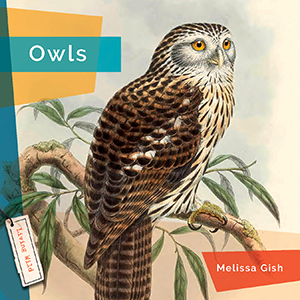 Cover Art for Owls