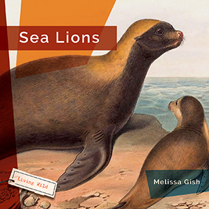 Cover Art for Sea Lions