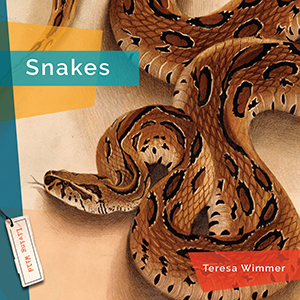 Cover Art for Snakes