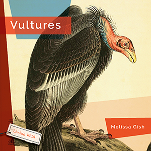 Cover Art for Vultures