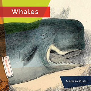 Cover Art for Whales
