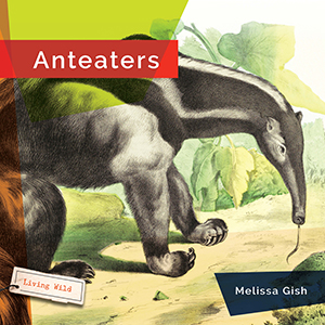 Cover Art for Anteaters