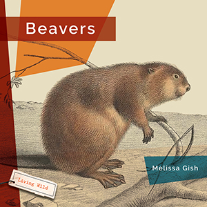 Cover Art for Beavers