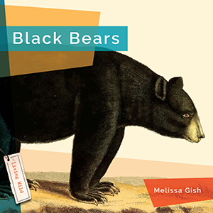 Cover Art for Black Bears