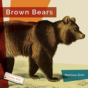 Cover Art for Brown Bears