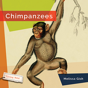 Cover Art for Chimpanzees