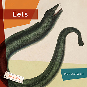 Cover Art for Eels