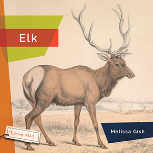 Cover Art for Elk