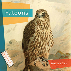 Cover Art for Falcons