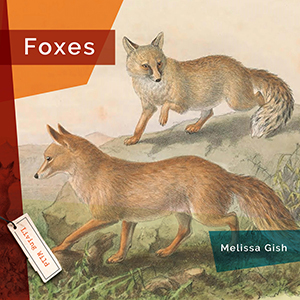 Cover Art for Foxes