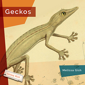 Cover Art for Geckos