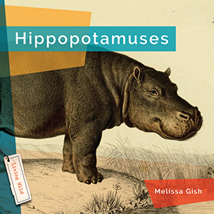 Cover Art for Hippopotamuses
