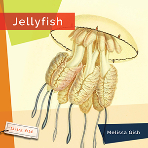 Cover Art for Jellyfish