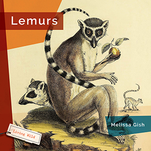 Cover Art for Lemurs