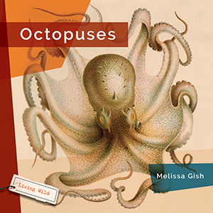Cover Art for Octopuses