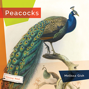 Cover Art for Peacocks