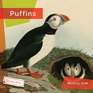 Cover Art for Puffins