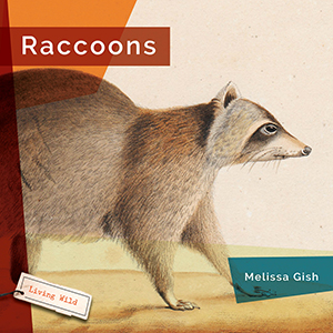 Cover Art for Raccoons