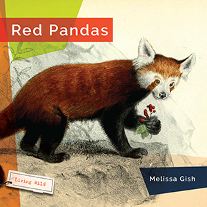 Cover Art for Red Pandas