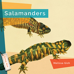 Cover Art for Salamanders