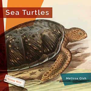 Cover Art for Sea Turtles