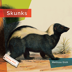 Cover Art for Skunks
