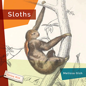 Cover Art for Sloths