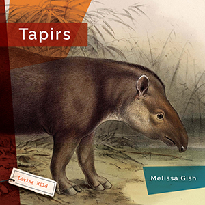 Cover Art for Tapirs