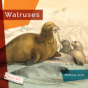 Cover Art for Walruses