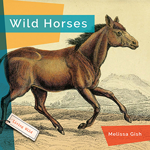 Cover Art for Wild Horses